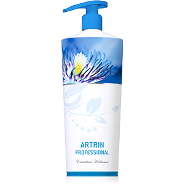 Energy, Artrin professional